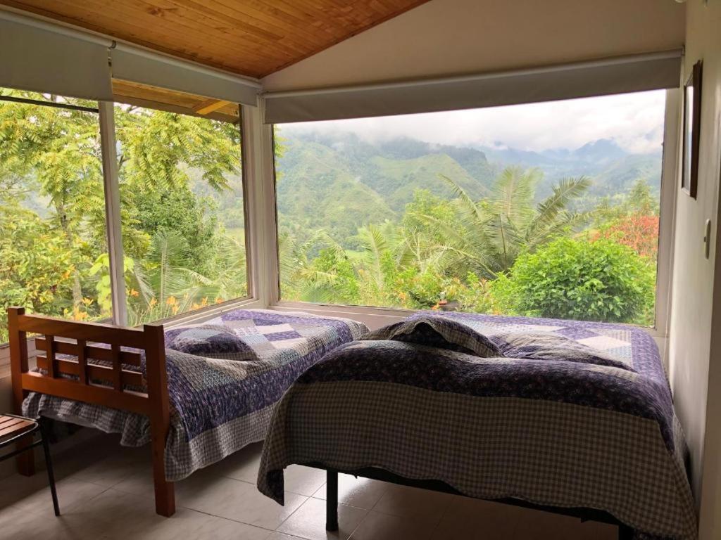 Salento Finca Hotel Mundo Nuevo Kültér fotó