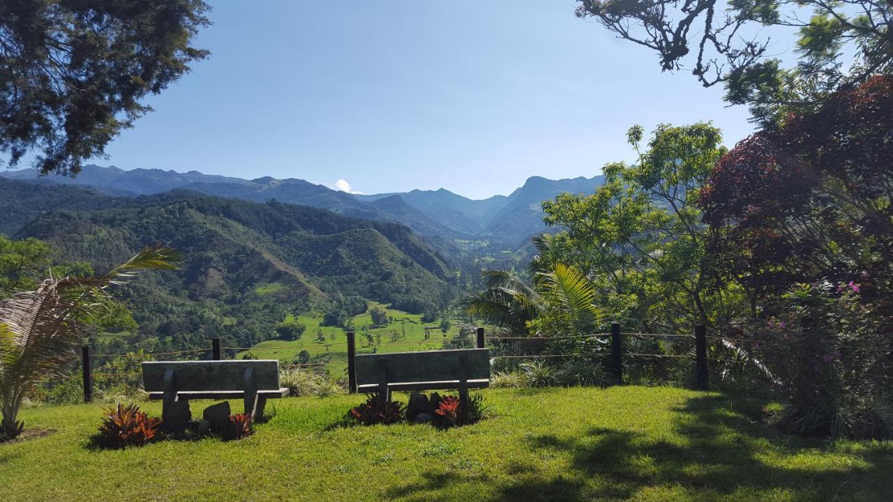 Salento Finca Hotel Mundo Nuevo Kültér fotó