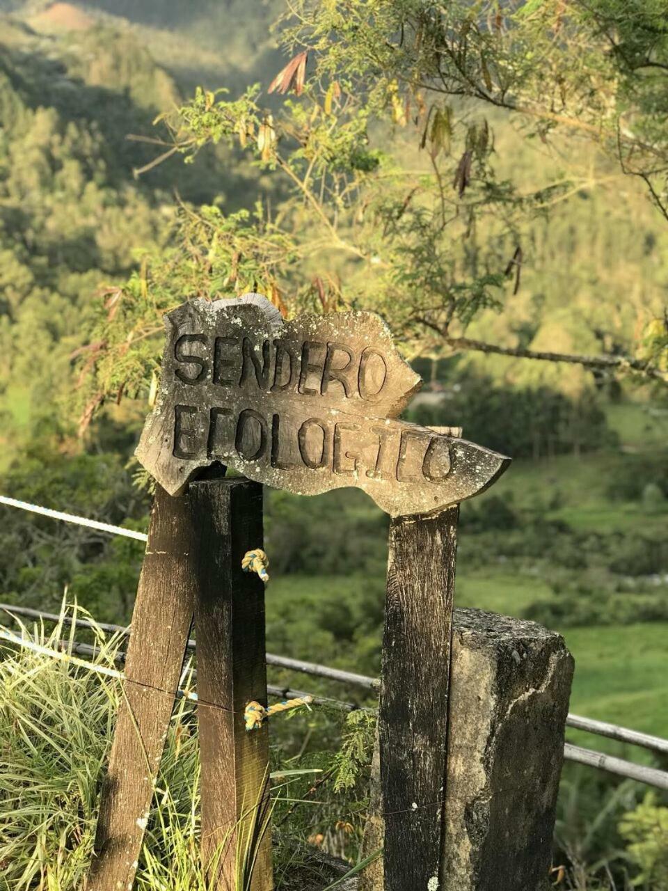Salento Finca Hotel Mundo Nuevo Kültér fotó