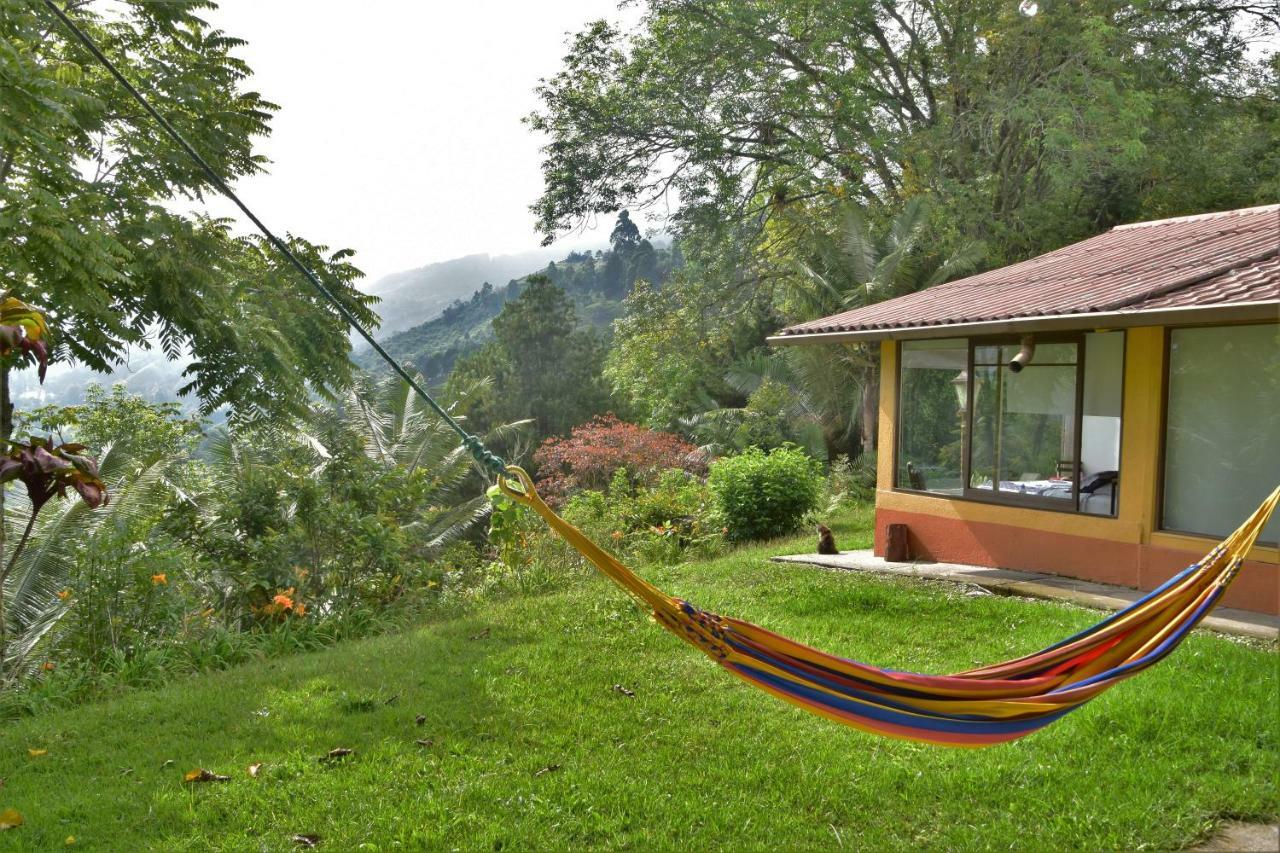 Salento Finca Hotel Mundo Nuevo Kültér fotó